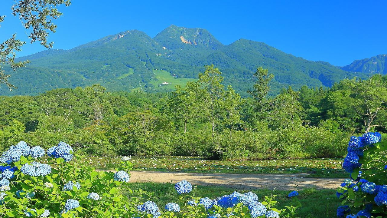 Ryokan Okayama Myoko Ngoại thất bức ảnh
